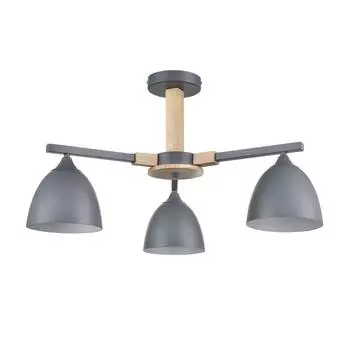 Потолочная люстра Lumion COLANGE