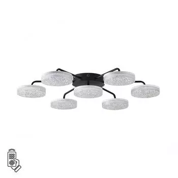 Потолочная люстра LUMION DIDANA