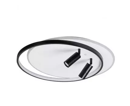 Потолочная люстра Lumion NAOKO