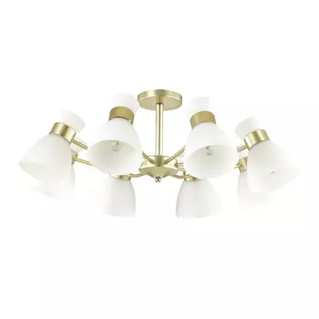 Потолочная люстра Lumion WILMA