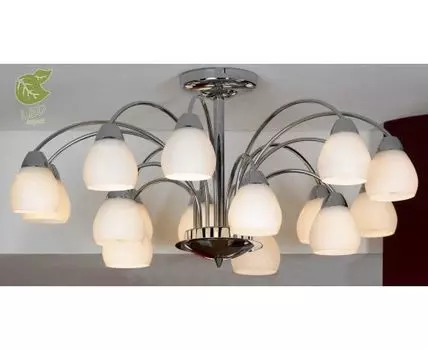 Потолочная люстра Lussole Apiro