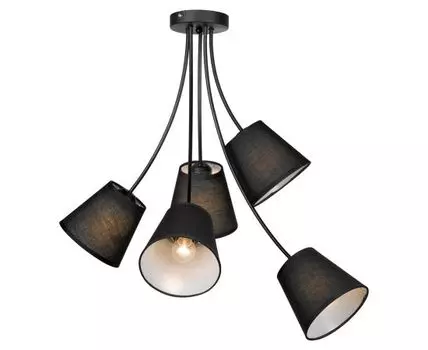 Потолочная люстра Lussole LAFAYETTE