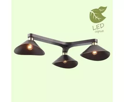 Потолочная люстра Lussole OPELIKA