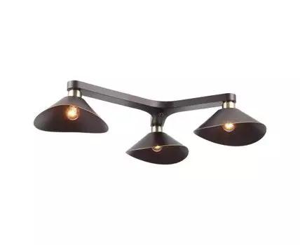 Потолочная люстра Lussole OPELIKA