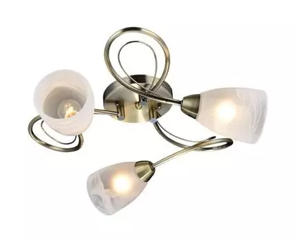 Потолочная люстра Lussole ROGERS