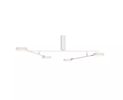 Потолочная люстра Maytoni Fad