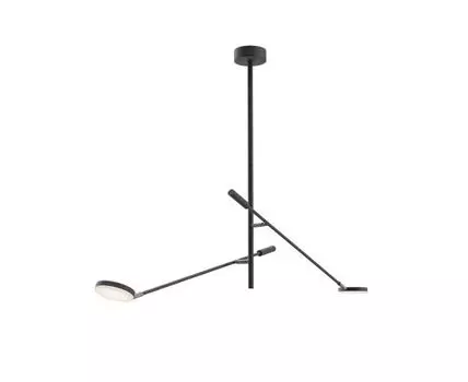 Потолочная люстра на штанге Maytoni Fad