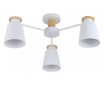 Потолочная люстра Rivoli Adna Б0053435