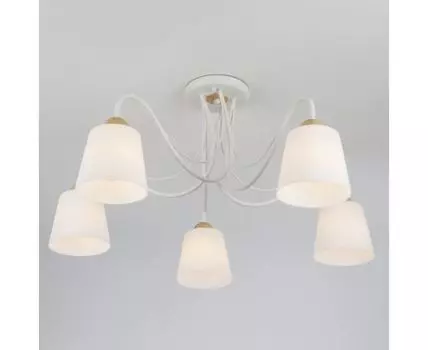 Потолочная люстра со стеклянными плафонами 70062/5 белый