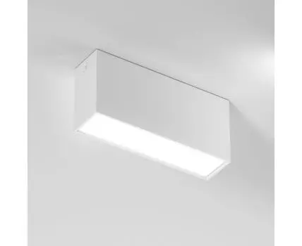 Потолочный накладной светильник Elektrostandard Block