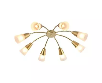 Потолочный светильник AQUILEGIA