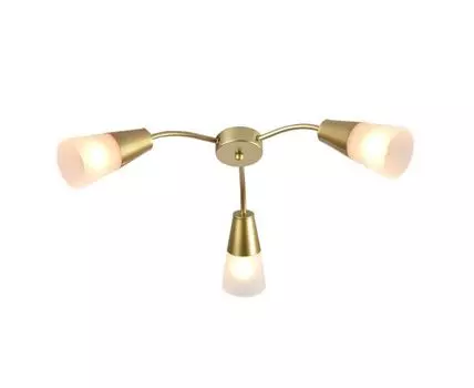 Потолочный светильник AQUILEGIA (золотистый, 56)