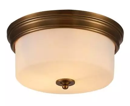 Потолочный светильник ArteLamp ALONZO