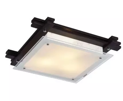 Потолочный светильник ArteLamp ARCHIMEDE