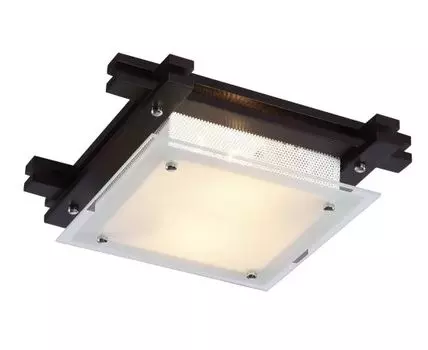 Потолочный светильник ArteLamp ARCHIMEDE