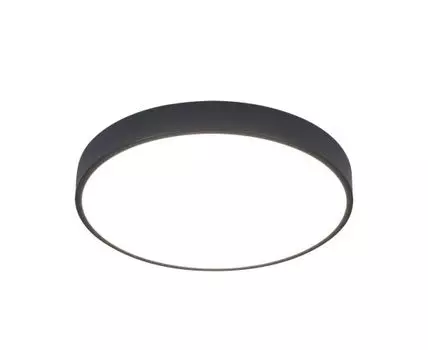 Потолочный светильник ArteLamp ARENA