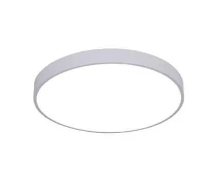 Потолочный светильник ArteLamp ARENA