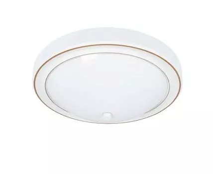 Потолочный светильник ArteLamp JAMES