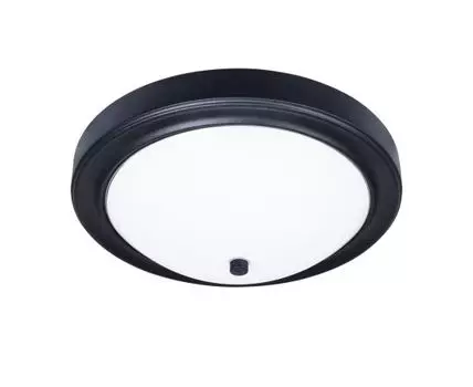 Потолочный светильник ArteLamp JAMES