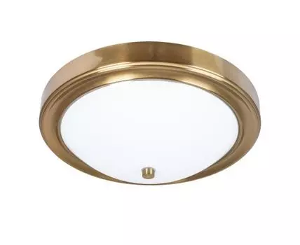 Потолочный светильник ArteLamp JAMES