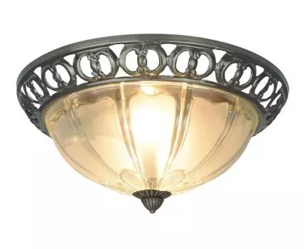 Потолочный светильник ArteLamp PORCH