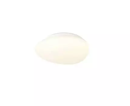 Потолочный светильник (Белый, 20)