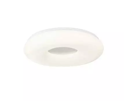 Потолочный светильник (Белый)