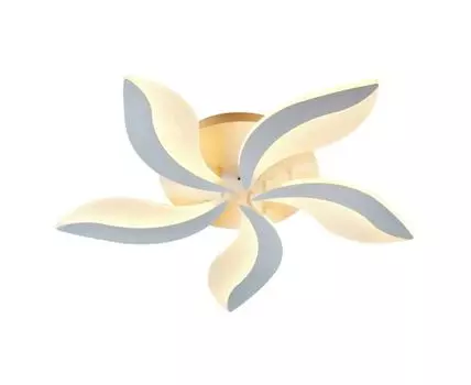 Потолочный светильник