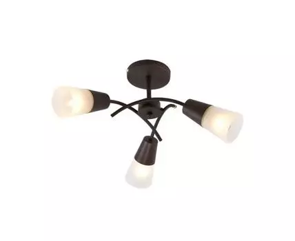 Потолочный светильник CALLA