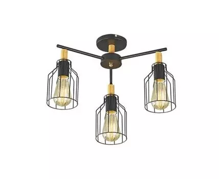 Потолочный светильник (Черный, 50)