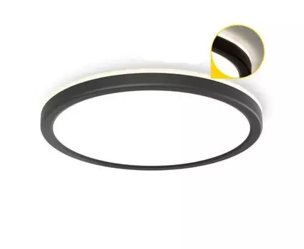 Потолочный светильник Citilux Basic Line