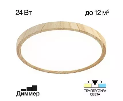 Потолочный светильник Citilux Бейсик