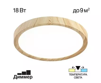 Потолочный светильник Citilux Бейсик