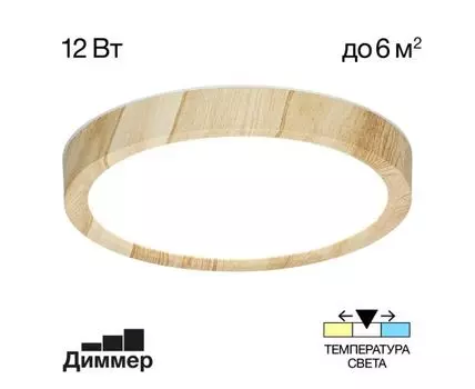 Потолочный светильник Citilux Бейсик