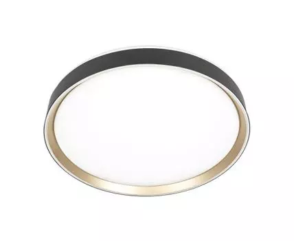 Потолочный светильник Citilux BOSS