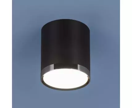 Потолочный светильник Elektrostandard