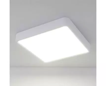 Потолочный светильник Elektrostandard