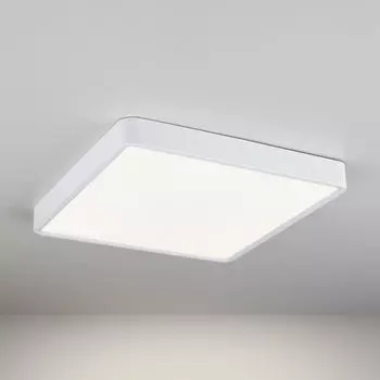 Потолочный светильник Elektrostandard