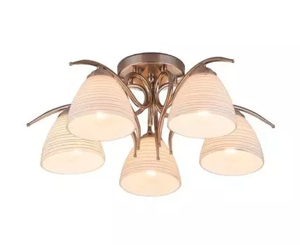 Потолочный светильник Eurosvet 30121/5 (Черный)