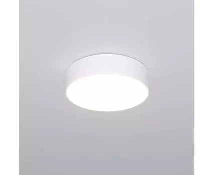 Потолочный светильник Eurosvet Entire