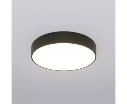 Потолочный светильник Eurosvet Entire