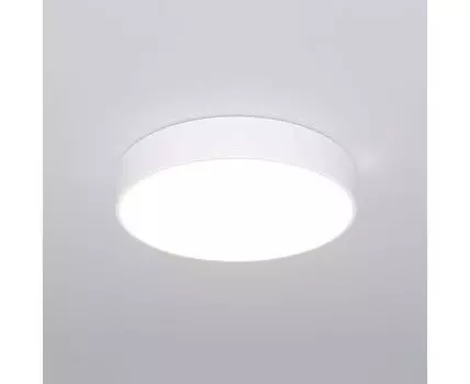 Потолочный светильник Eurosvet Entire