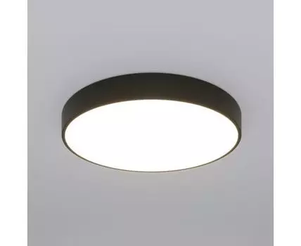 Потолочный светильник Eurosvet Entire