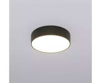 Потолочный светильник Eurosvet Entire