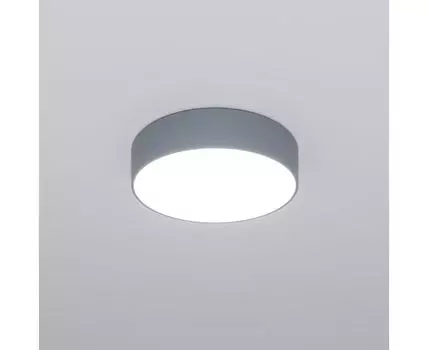 Потолочный светильник Eurosvet Entire