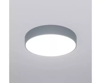 Потолочный светильник Eurosvet Entire