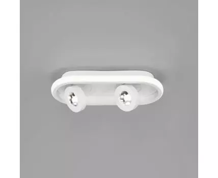 Потолочный светильник Eurosvet Slam