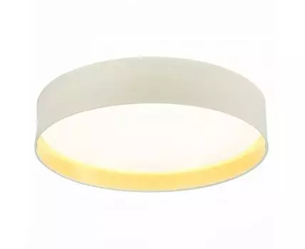 Потолочный светильник Evoluce BRESCIA