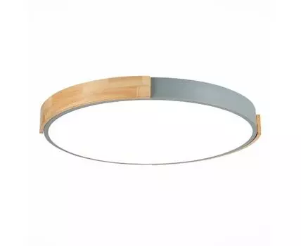 Потолочный светильник Evoluce DELIA