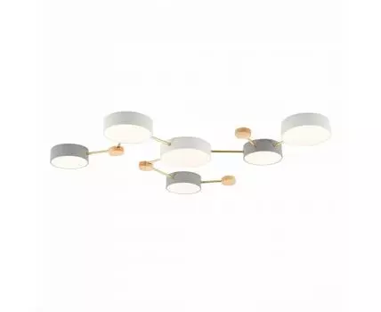 Потолочный светильник Evoluce DOSSENA